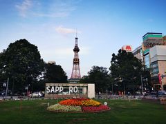 -札幌电视塔