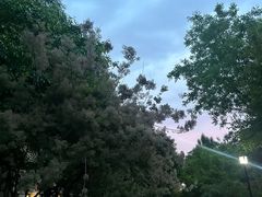 -丝绸小镇荻港古村
