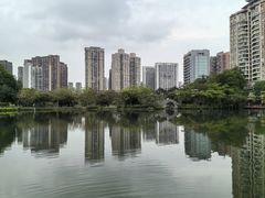-四海公园(南山区)
