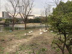 -同济大学(嘉定校区)