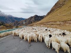 -天山神秘大峡谷