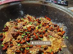 活鱼-肥鱼屯活鱼锅(惠工街店)
