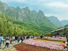 -云台山风景名胜区