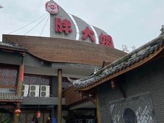 -胖大姐黄辣丁鱼庄(新津店)