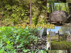 -三块石国家森林公园