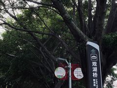 -广东花都湖国家湿地公园
