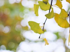 -厦门高崎国际机场-T3航站楼