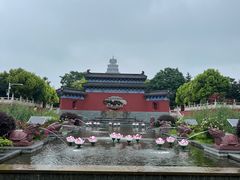 -微山湖红荷湿地景区