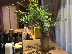 -泰合玺·精油疗愈SPA(狮山天街生活广场店)