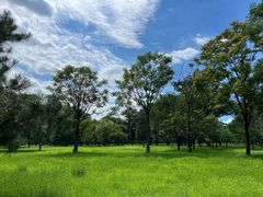 -承德避暑山庄景区