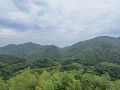 -宁波浙东大竹海景区