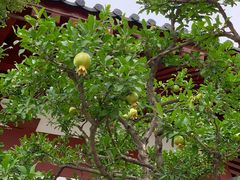 -西安华清御汤酒店