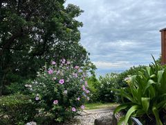 -南紀白浜 浜千鳥の湯 海舟