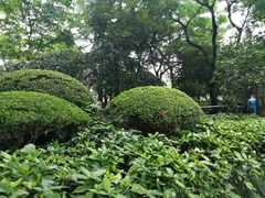 -静安公园(静安寺街道)