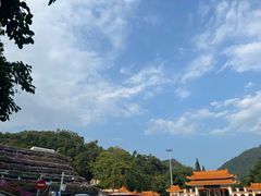 -深圳仙湖植物园