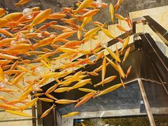 -金满楼(天河中路店)