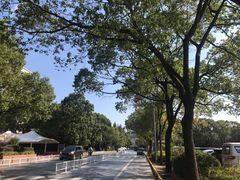 -上海市公安局交通警察总队车辆管理所三分所