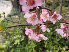 -白塘生态植物园