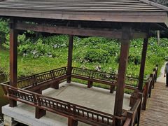 -同里国家湿地公园
