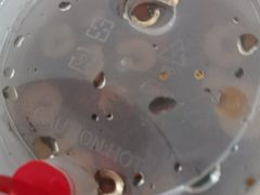 -红跑车(三牌楼店)