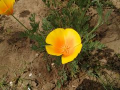 -北京植物园-展览温室