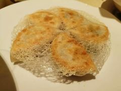 金网煎锅贴-唐宫