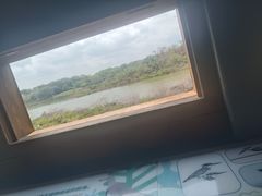 -华侨城湿地公园
