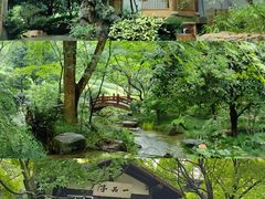 -中国茶叶博物馆(双峰馆区)