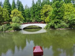 -东平国家森林公园