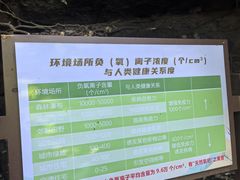 -江西阳明山国家森林公园