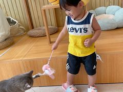 -Catmate·猫肥家润(金润铂宫店)