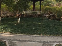 -墅园