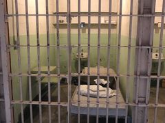 -阿尔卡特拉斯岛