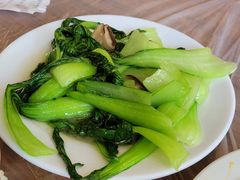 -绿野餐厅(上海动物园店)