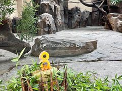 -宁波野生动物园