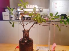 -代数学家algebraist(诚品店)