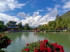 -黑龙潭公园