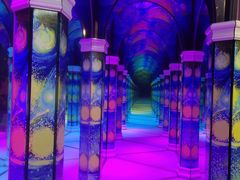 -天津梵高星空艺术馆(天河城旗舰店)