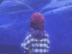 -台州海洋世界