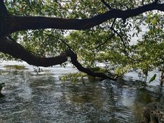 -东湖落雁景区