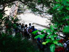 -广州白江湖森林公园