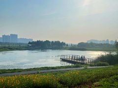 -洋湖国家湿地公园