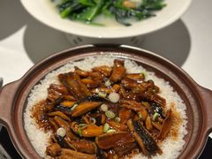 -桂满陇·海市蜃楼·黑金(国金店)