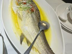 -羲和雅苑•北京烤鸭(国贸商城店)