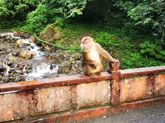 -西岭雪山大飞水景区