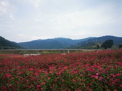 -石峰岩寺