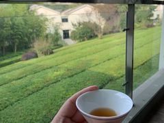 -苏州环秀晓筑养生度假村