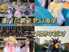 -巨鹏飞梦幻海岸