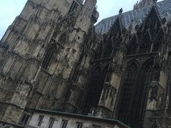 -斯蒂芬主教座堂(Stephansdom)