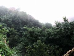 -嵖岈山风景区